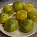 탐라세탁 이미지