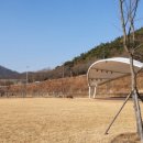 신화랑풍류숲길 이미지