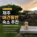 그리다제주 - 거제시 아주1로1길 20 | 제주 애견동반 숙소 추천｜직접 묵어본 독채 숙소 3곳 비교 후기