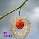 앉은굿 이미지