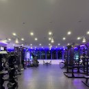 머슬라운지 이미지