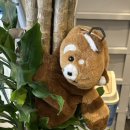 이우철한방누룽지삼계탕 죽전점 이미지