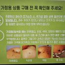 나주배 이미지