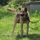 별천지모텔 이미지