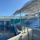 하나교 생태통로 앞 | 거제 씨월드 입장권 가격 비교｜가족이랑 다녀온 실내 여행지 내돈내산 후기