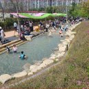 숲속에 우산정원 이미지