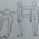 Spine Mobility Assessment - Scholber's distance, Stibor's disance, Thomayer's test 소개 - 이미지