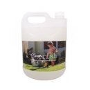 체리쉬퍼피 이미지