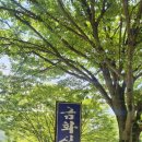 금화애견 이미지