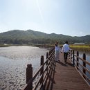 매료 37.5 이미지