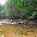 온새미캠핑장 이미지