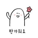 엔젤악기상사 이미지