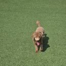 레인바우 이미지