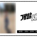 라이포차