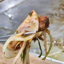 장안산업단지B | 구워주는 삼겹살 불쇼까지🔥 '당구대통철판삼겹살' 내돈내산 솔직후기 고색산업단지 맛집 타운 삼겹살맛집