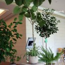 이탈리안골프존 이미지