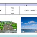 편안채 이미지