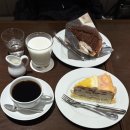 Tokyo Photo dump