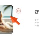더뷰어 이미지