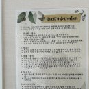 그린펜션 | 속초복층펜션 속초 숨은 보석, 헤이마이그린 독채펜션 후기