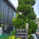 더반힐리조트펜션