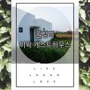 이왁게스트하우스 | 제주도 숙소 후기 :: 월정리 숙소 이왁 게스트 하우스 후기 day 2