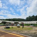 곤충생태원내 화장실(무당벌레) | 창녕 우포곤충나라 (구.생태곤충원) 이방 안리마을 맛집