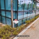 상인3동행정복지센터 이미지