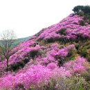 고려산 이미지