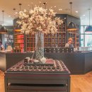 신화2호 이미지