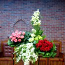 자연이좋은사람들 이미지