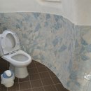 판타루시아 이미지