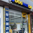 화정1교 사거리 1 | 화정동 염주사거리 도그마캣 무인애견용품샵 내돈내산 다양한 간식이 있는 곳