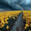 웰빙메디컬빌딩 이미지