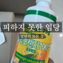 더센헬스케어 | 임당 확진된김에 당뇨 공부(1)