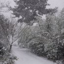 당산1리마을회관 이미지