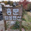 용문감성펜션 이미지