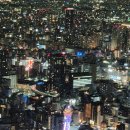 등대사 | [오사카/교토] 오사카/교토 여행 일정 후기(4~5일차) - 나라사슴공원 / 하루카스300