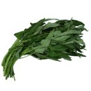 GreenFarm 이미지