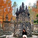 송내대로 버즘나무테마거리 | 가을이 찾아온 대전 상소동 산림욕장ㅣ돌탑과 단풍이 어우러지는 숲속 힐링 명소