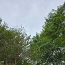 부산종합운동장 아시아드보조경기장 이미지