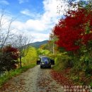 보성강5 이미지