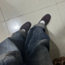 새로이 핏 | 초봄 일상집(새로이 시작하는 것들 모음)