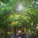 004-조리-004 | 🌿 다낭 맛집 추천 | 씀모이 가든(Xóm Mới Garden) 방문 후기 🍜🍻