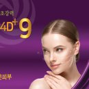 장에스테 이미지