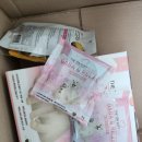 텐소프트 이미지