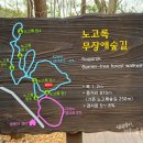서귀포 치유의 숲 노고록 숲길 네이버블로그