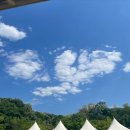 언니네 운동장 이미지