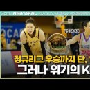 KB 스타즈 정규리그 우승! KB스타즈 vs 삼성생명 하이라이트 이미지