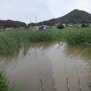 선두포낚시터 이미지